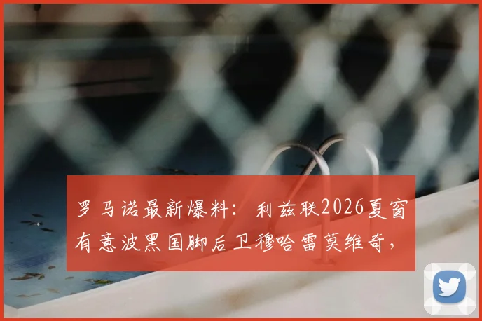 罗马诺最新爆料：利兹联2026夏窗有意波黑国脚后卫穆哈雷莫维奇，转会动态与球员深度解析